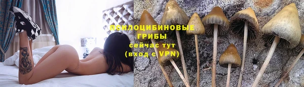 первитин Верея