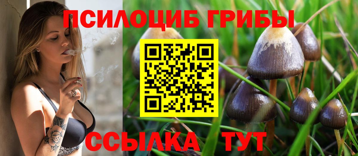 Псилоцибиновые грибы прущие грибы  Вход с VPN  Воткинск 