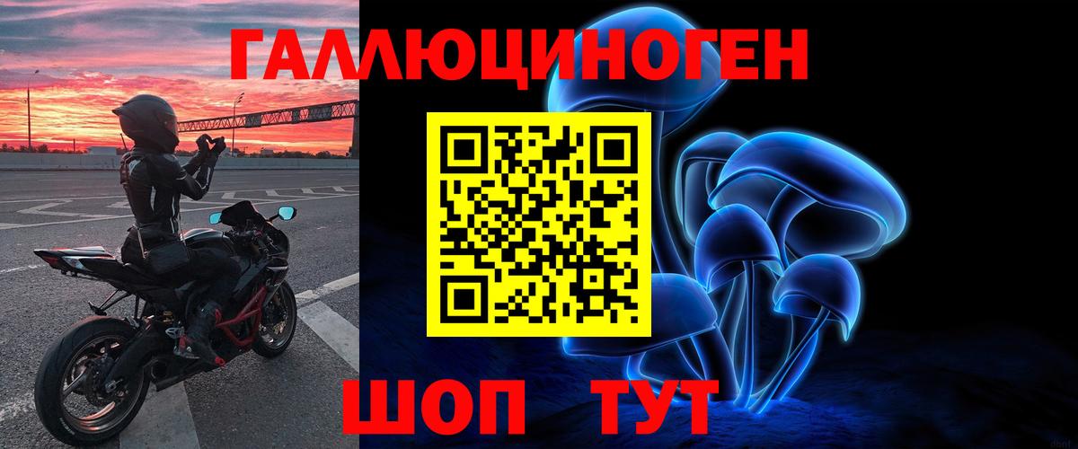 Галлюциногенные грибы Psilocybe  Воткинск 